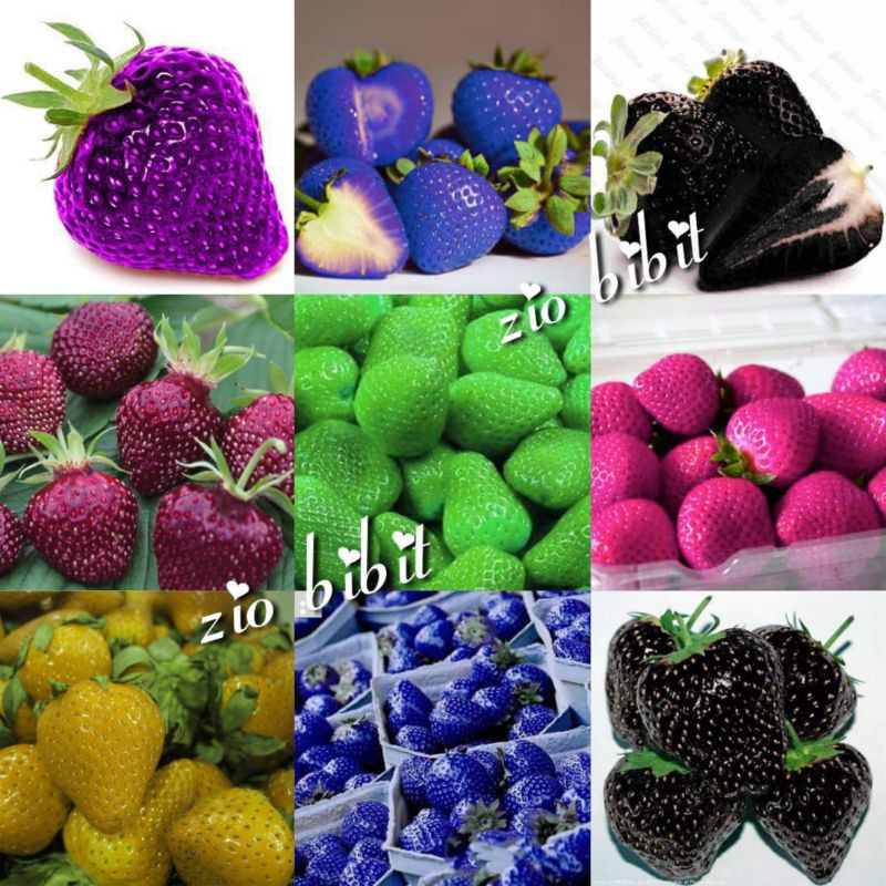 Detail Warna Buah Strawberry Nomer 43