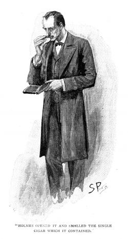 Detail Sherlock Holmes Lengkap Nomer 36