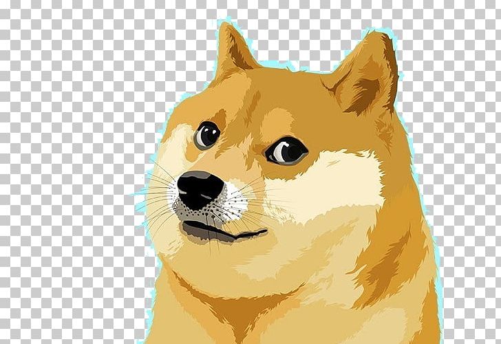 Detail Shiba Inu Png Nomer 12