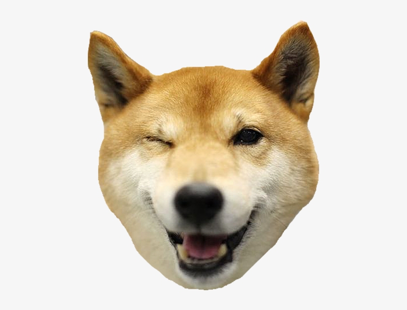 Detail Shiba Inu Png Nomer 17