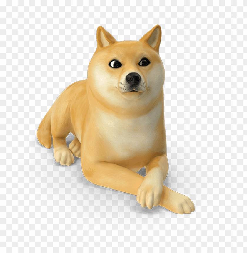 Detail Shiba Inu Png Nomer 5