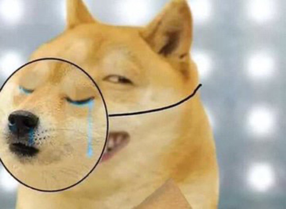 Detail Shibe Meme Generator Nomer 27