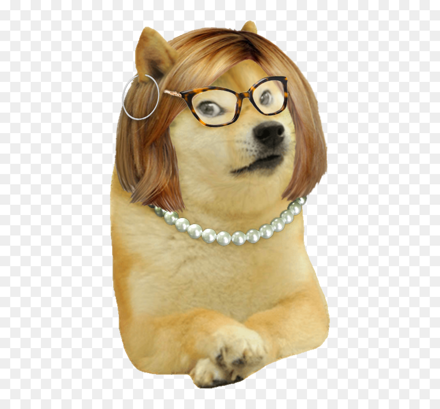 Detail Shibe Meme Generator Nomer 39