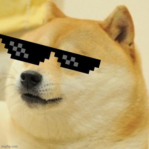 Detail Shibe Meme Generator Nomer 7