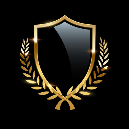 Detail Shield Picture Nomer 20