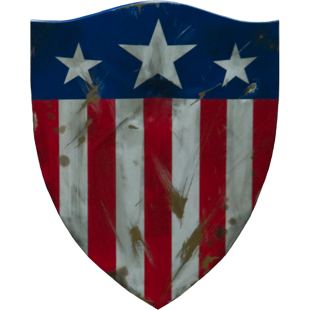 Detail Shield Picture Nomer 49
