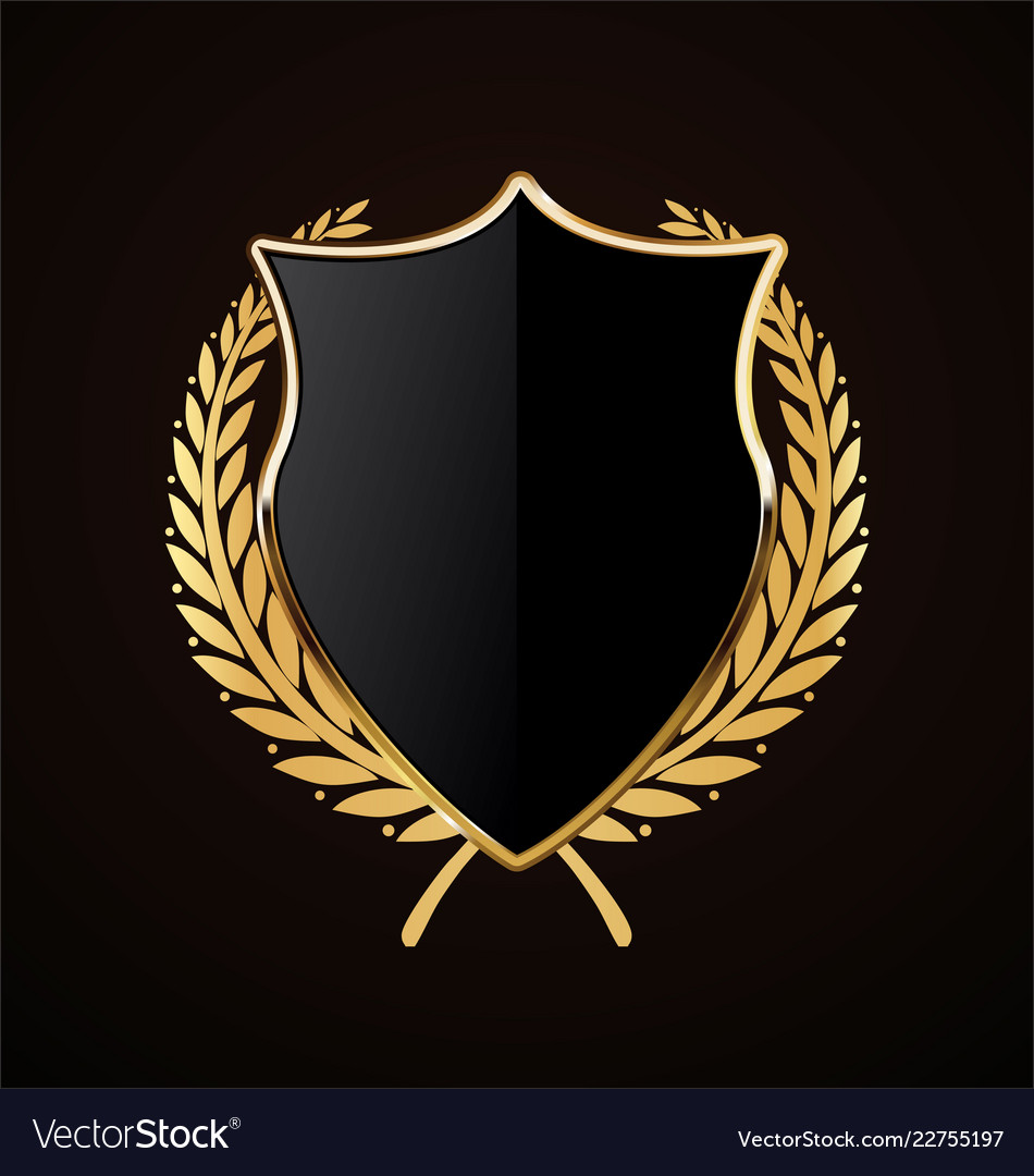 Detail Shield Picture Nomer 8