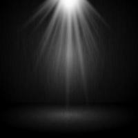 Detail Shine Light Nomer 4