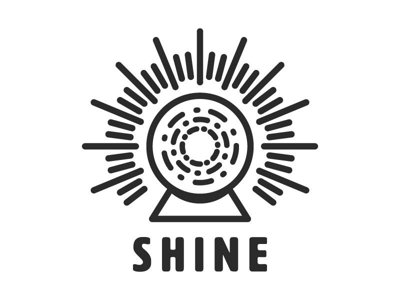Detail Shine Logo Nomer 22