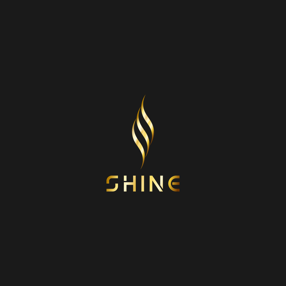 Detail Shine Logo Nomer 4