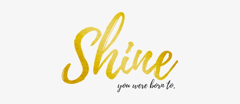 Detail Shine Logo Nomer 31