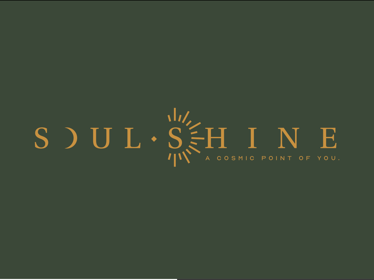 Detail Shine Logo Nomer 37