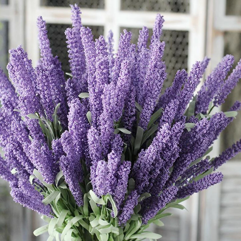 Detail Warna Bunga Lavender Nomer 15