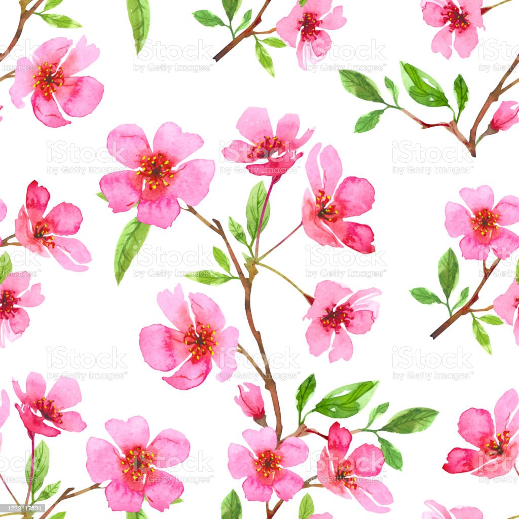 Detail Warna Bunga Sakura Nomer 6