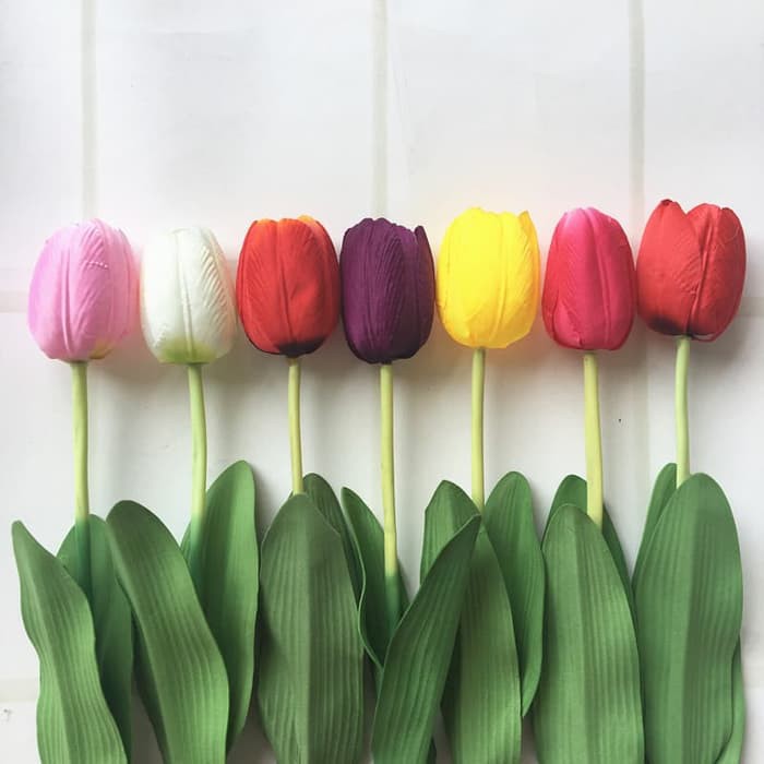 Detail Warna Bunga Tulip Yang Bagus Nomer 27