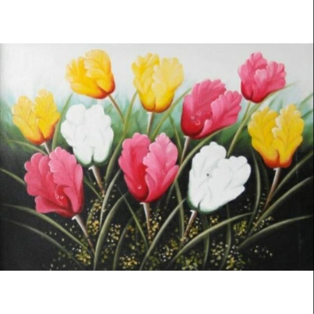 Detail Warna Bunga Tulip Yang Bagus Nomer 40