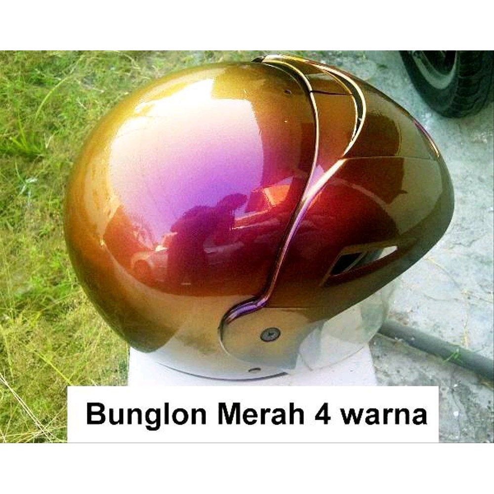 Detail Warna Bunglon Merah Nomer 31