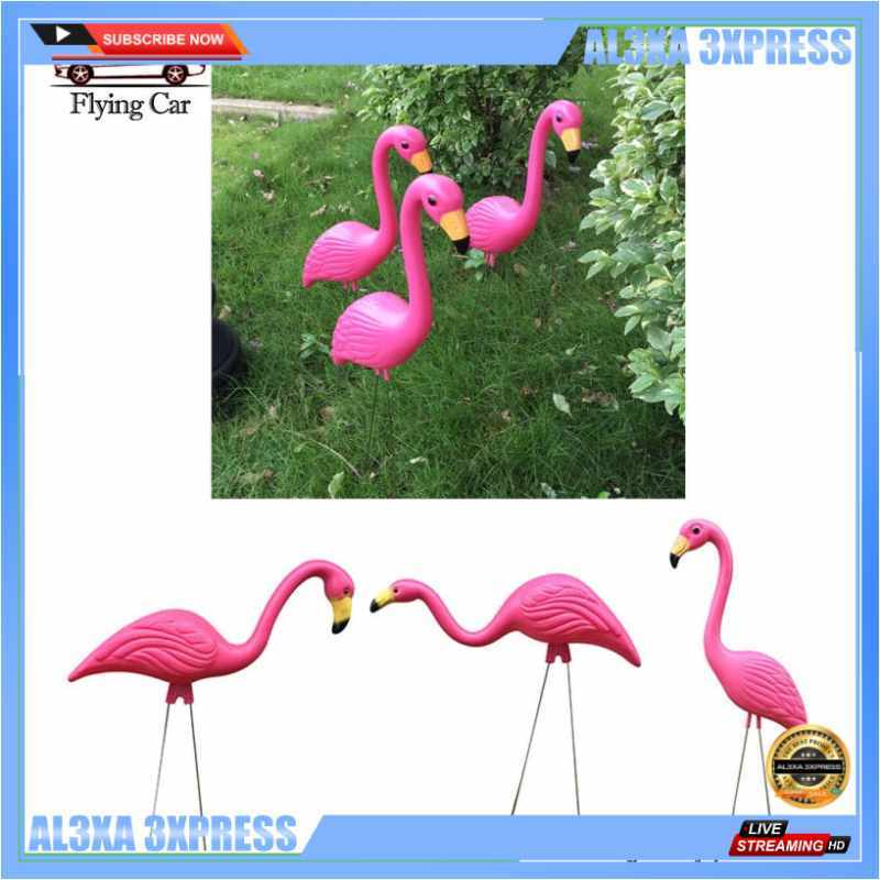 Detail Warna Burung Flamingo Nomer 25