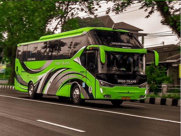 Detail Warna Bus Keren Nomer 33