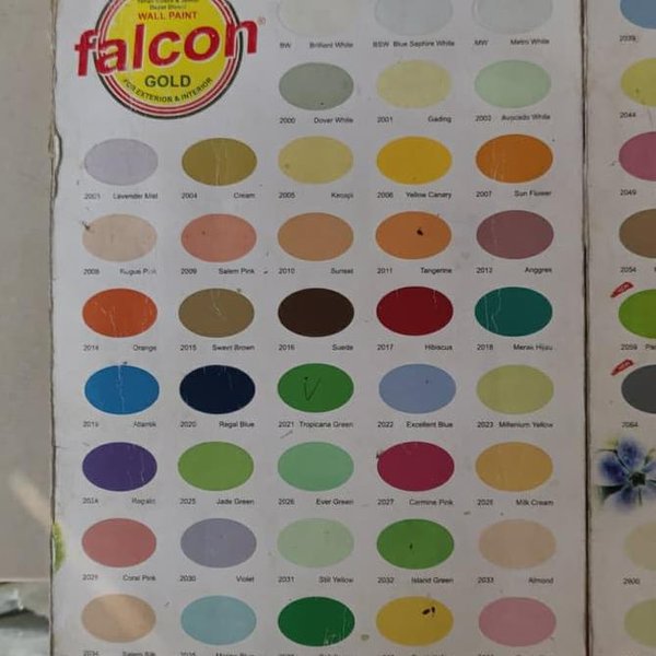 Detail Warna Cat Falcon Biasa Nomer 7