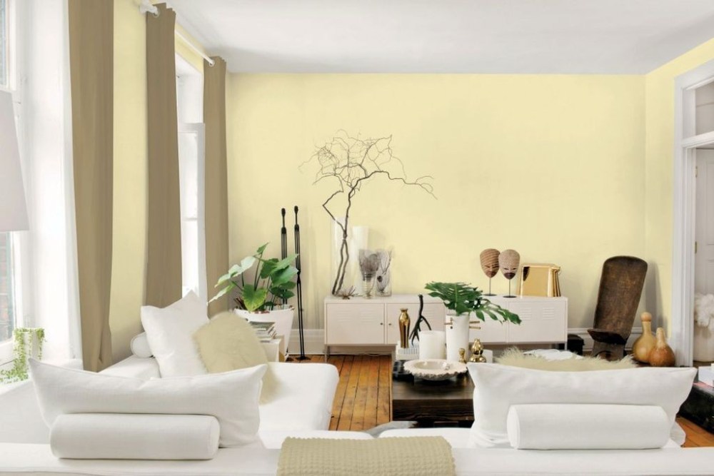 Detail Warna Cat Lemon Nomer 55
