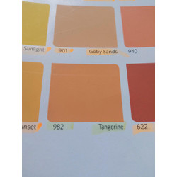 Detail Warna Cat Orange Muda Nomer 27