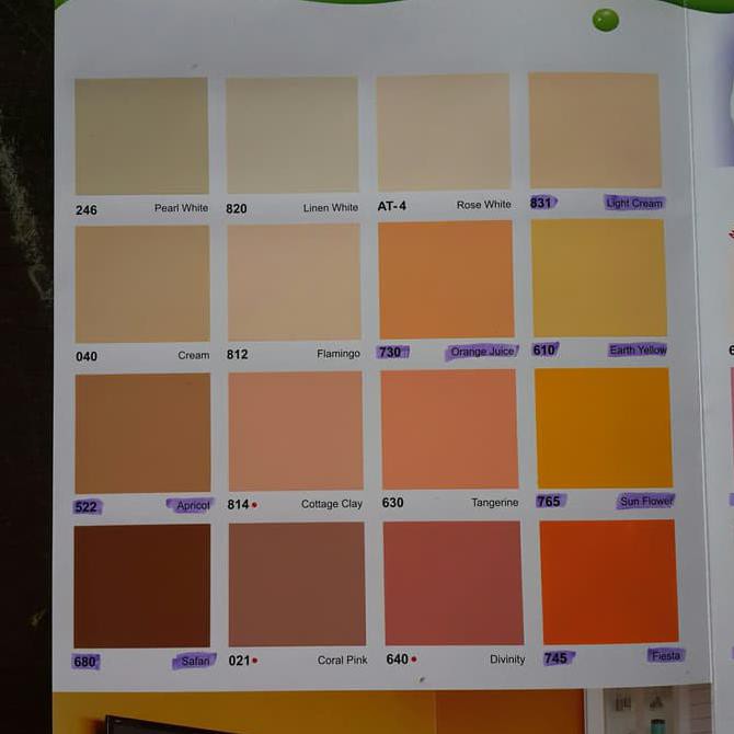 Detail Warna Cat Orange Muda Nomer 36