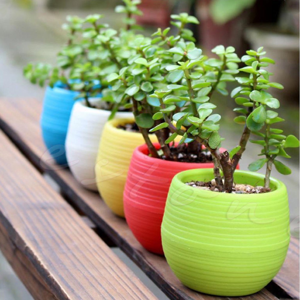 Detail Warna Cat Pot Bunga Nomer 29