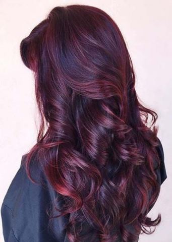 Detail Warna Cat Rambut Mahogany Nomer 22