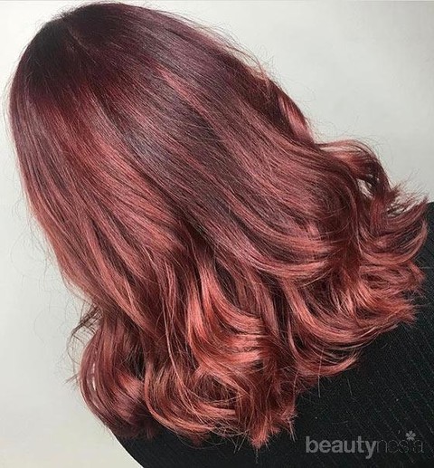 Detail Warna Cat Rambut Maroon Nomer 37