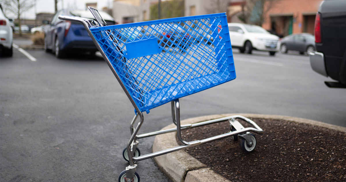 Detail Shopping Cart Images Nomer 35