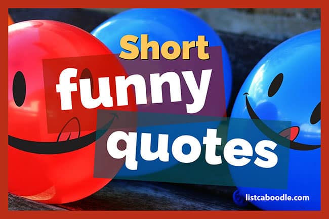 Detail Short Funny Quotes Nomer 47