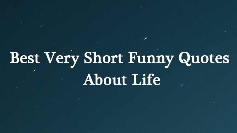 Detail Short Funny Quotes Nomer 7