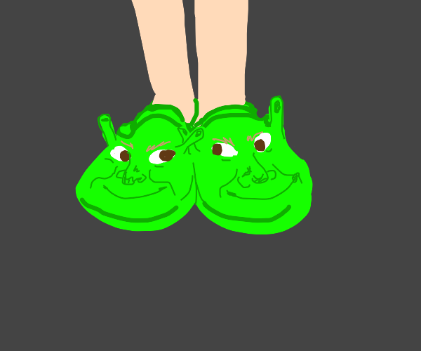 Detail Shreck Crocs Nomer 41