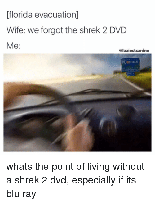 Detail Shrek 2 On Dvd Meme Nomer 15