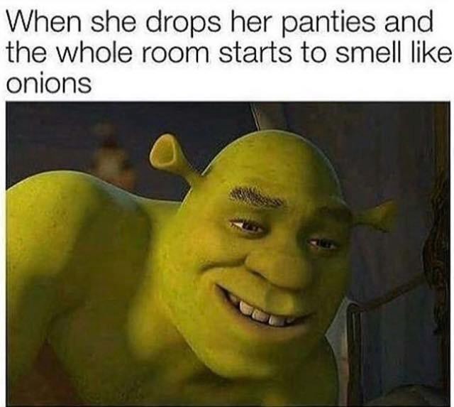 Detail Shrek 2 On Dvd Meme Nomer 56