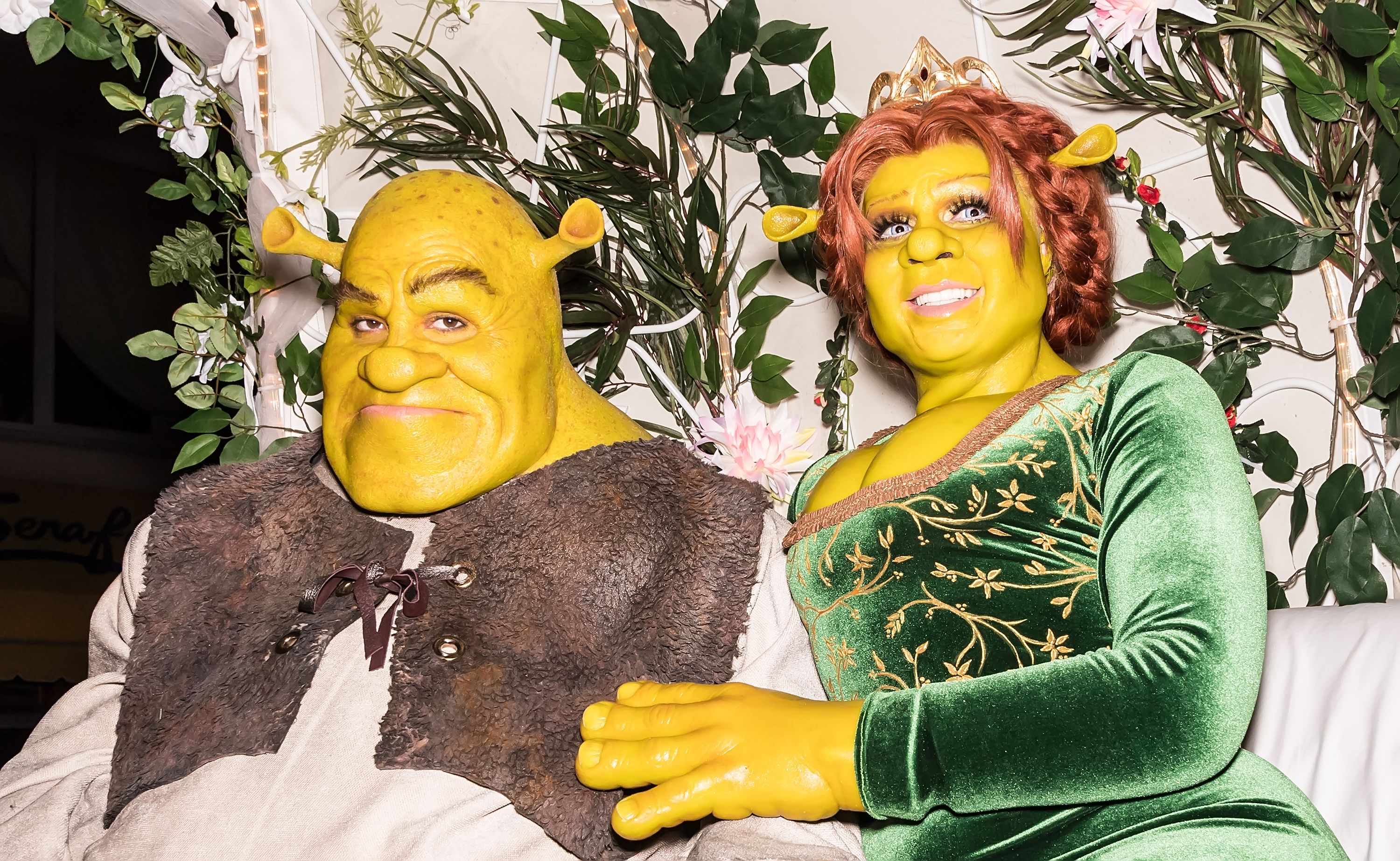 Detail Shrek And Fiona Images Nomer 50