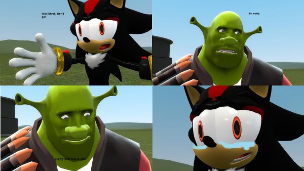 Detail Shrek And Shadow The Hedgehog Nomer 3