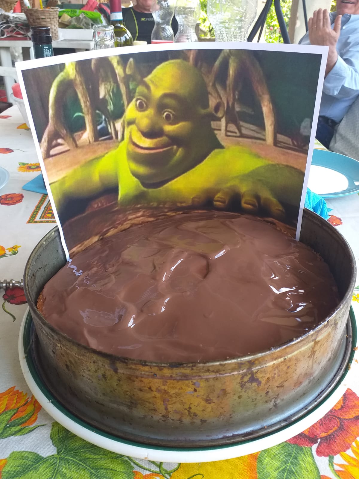 Detail Shrek Cake Pans Nomer 47