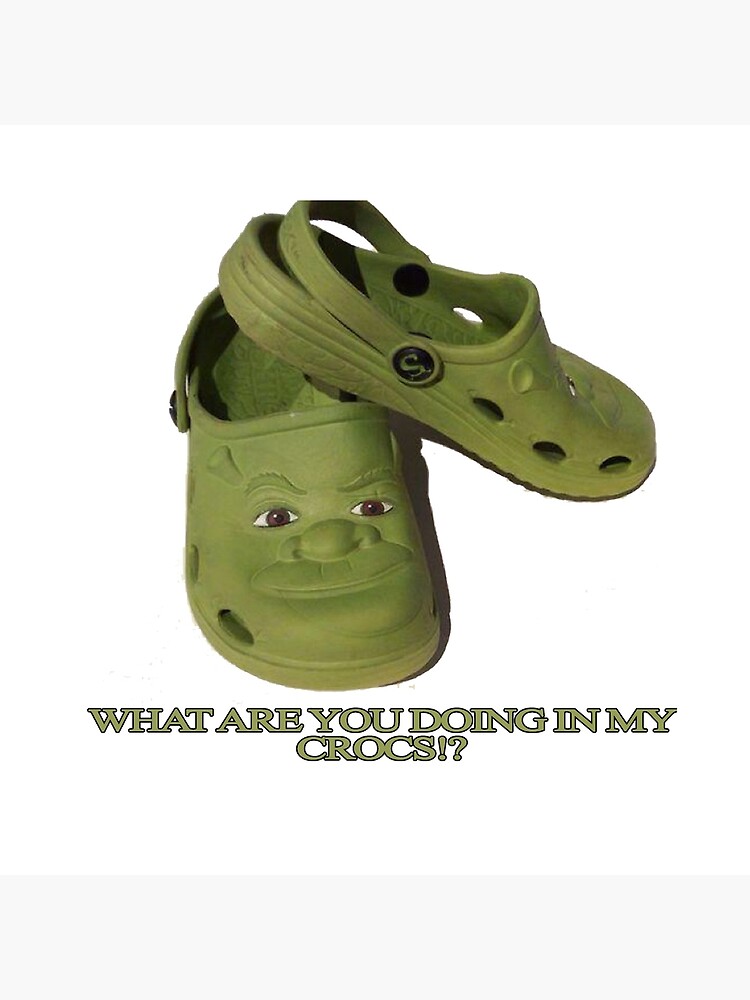 Detail Shrek Crocs Nomer 2