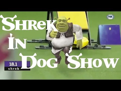 Detail Shrek Doge Nomer 42
