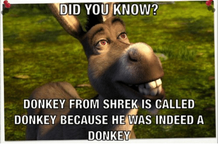 Detail Shrek Donkey Meme Nomer 11