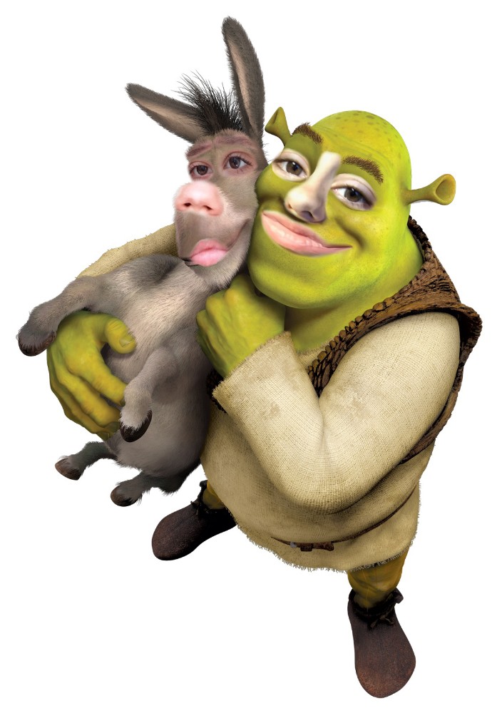 Detail Shrek Donkey Meme Nomer 47