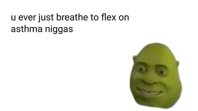 Detail Shrek Flex Meme Nomer 2