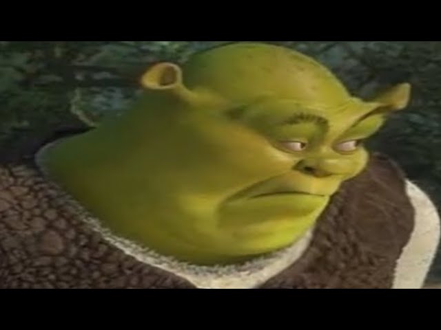 Detail Shrek Funny Pictures Nomer 19