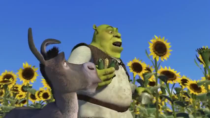 Detail Shrek Sunflower Nomer 20