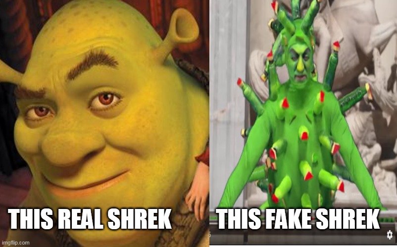 Detail Shrek Valentines Memes Nomer 27