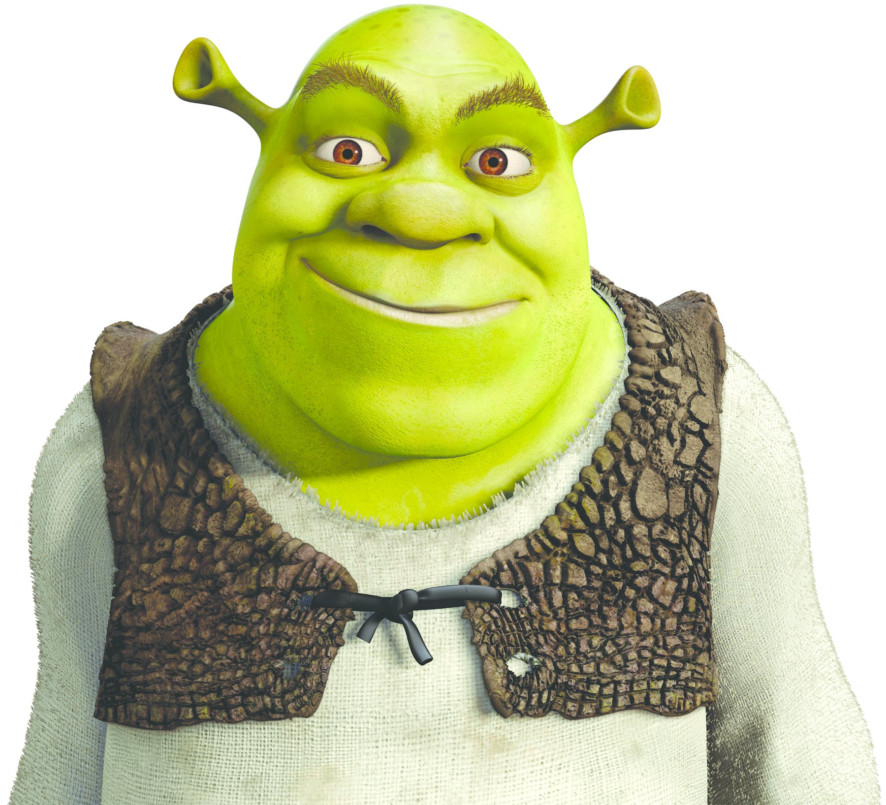 Detail Shrek Vest Nomer 25