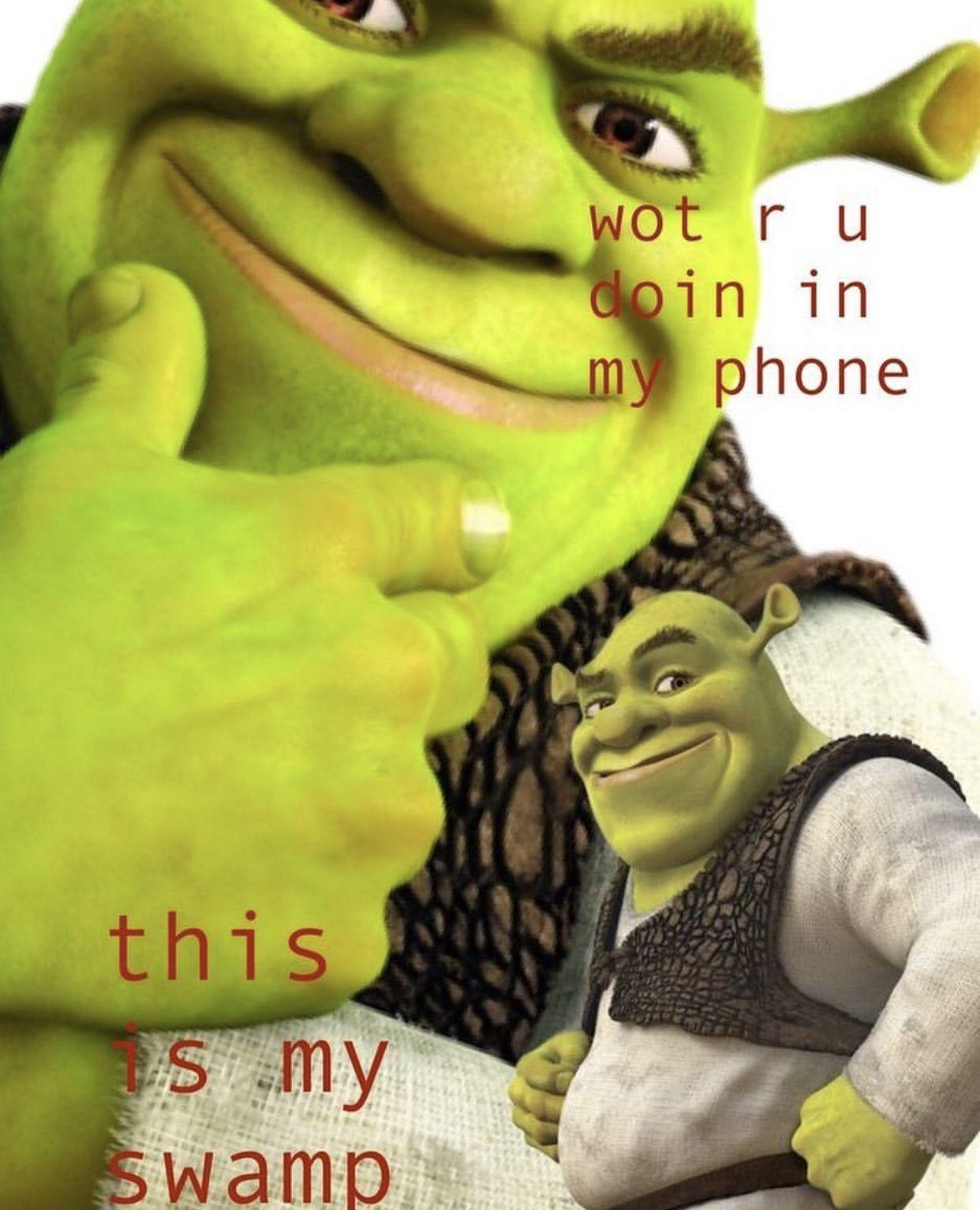 Detail Shrek Wallpaper Meme Nomer 3