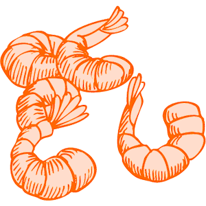 Detail Shrimp Clip Art Nomer 25